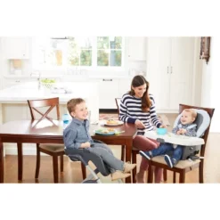 Graco DuoDiner DLX 6-in-1 High Chair - Hamilton -Baby Products GUEST 14480a6d dd6b 4b23 a9b9 16f59c339de0
