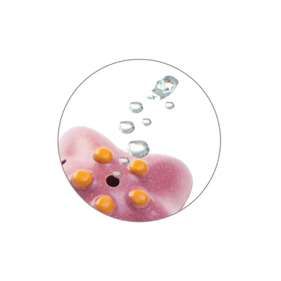 Plantoys| Sea Life Bath Set 3 Plantoys| Sea Life Bath Set - Image 3