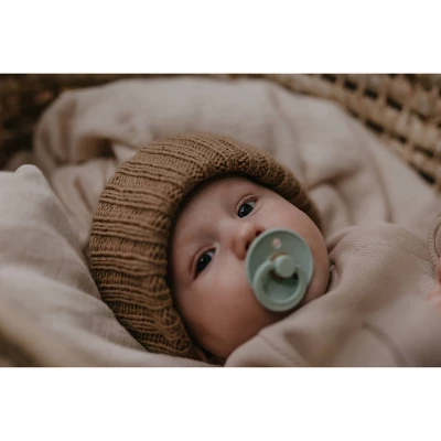 Bibs Colour Latex Pacifier - 2pk 9 Bibs Colour Latex Pacifier - 2pk - Image 9