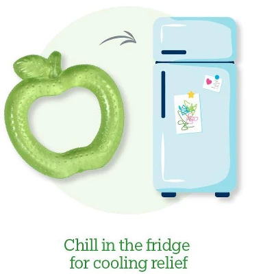 Green Sprouts Cool Nature Teether (4 Pack) & Fruit Cooling Teether (3 Pack) 3 Green Sprouts Cool Nature Teether (4 Pack) & Fruit Cooling Teether (3 Pack) - Image 3