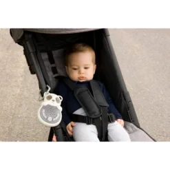 Cloud-B Cloud B Sweet Dreams On The Go Panda Toy 10 Cloud-B Cloud B Sweet Dreams On The Go Panda Toy -Baby Products GUEST 69264233 227e 4888 8523 e39a1b6dbd65