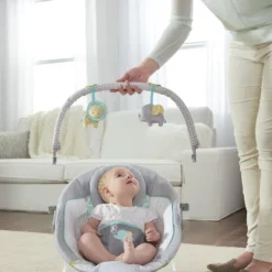 Ingenuity Soothing Baby Bouncer With Vibrating Infant Seat -Baby Products GUEST 69fa041f 2a8e 40f4 806e 9ca155f6831a
