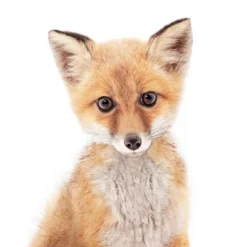 Americanflat Nursery Baby Animals - 8 Piece Square Framed With Mat Gallery Wall Set -Baby Products GUEST 74ebf71f 03a3 42b3 a616 fe2ad150beee