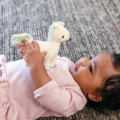 Infantino Go Gaga! Squeeze & Teethe Terry Tail