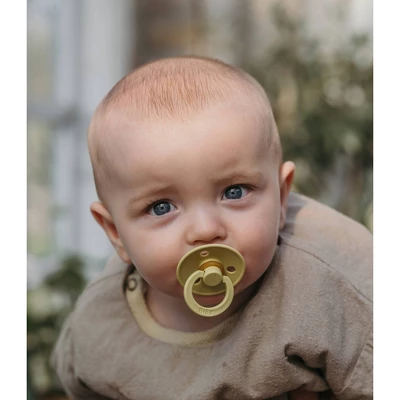 Bibs Colour Latex Pacifier - 2pk 2 Bibs Colour Latex Pacifier - 2pk - Image 2