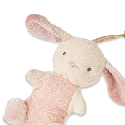 Itzy Ritzy Bitzy Pal And Pacifier - Bunny 2 Itzy Ritzy Bitzy Pal And Pacifier - Bunny - Image 2