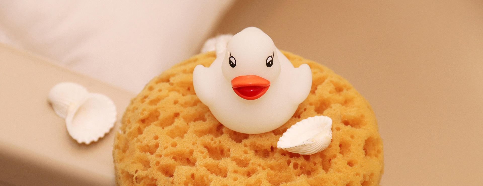 Baby Products -Baby Products sponge 7340068 1920